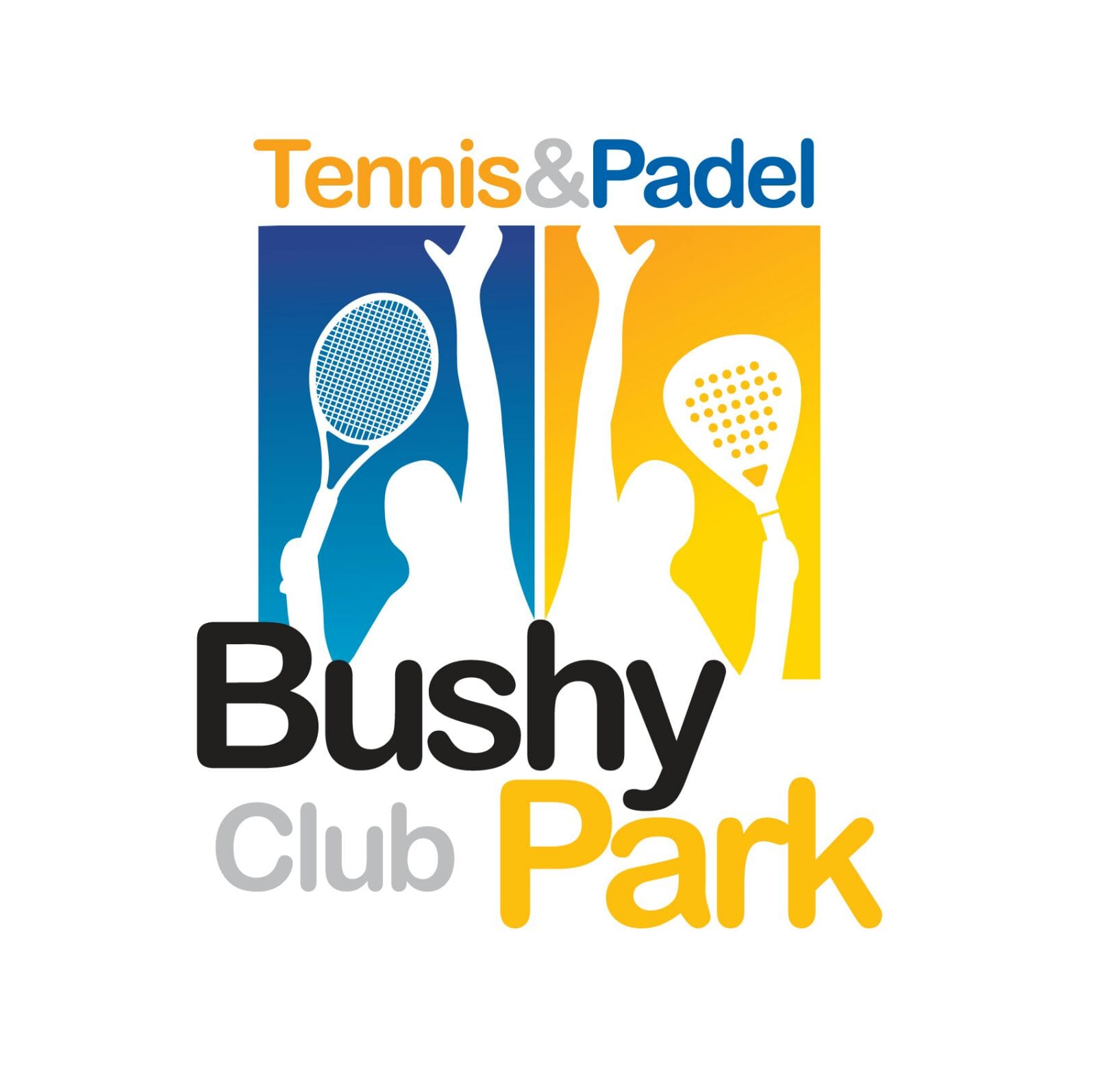 News graphic for Padel Open Day in Bushy Park Club